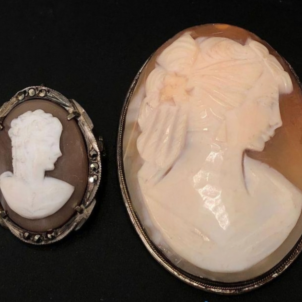 Elegant Cameo Brooch Set - Brown and Cream